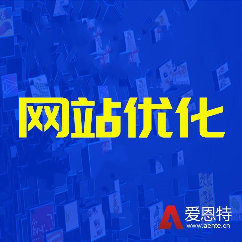 <strong>网站优化</strong> <strong>网站优化</strong>